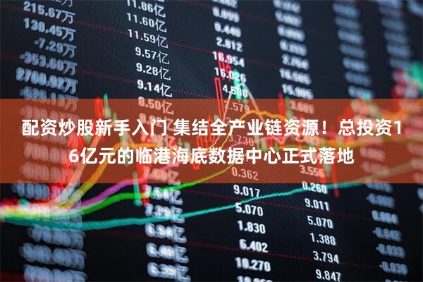 配资炒股新手入门 集结全产业链资源！总投资16亿元的临港海底数据中心正式落地