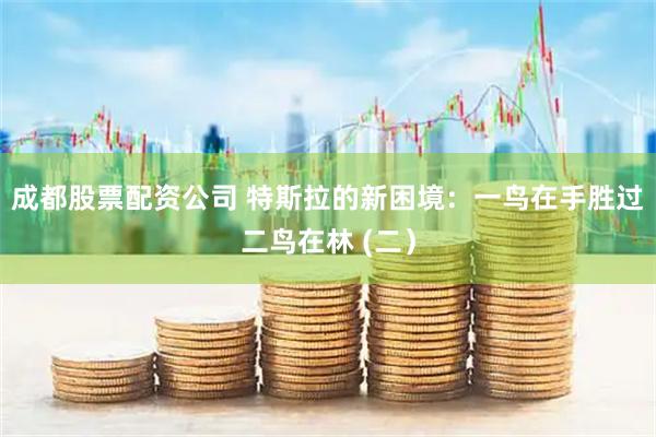 成都股票配资公司 特斯拉的新困境：一鸟在手胜过二鸟在林 (二）
